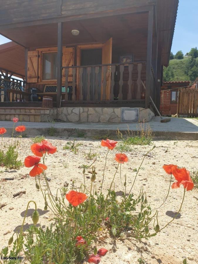 Cabana De Madera Especial Y Acogedora Cardenete Kültér fotó